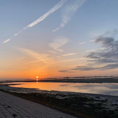 Vakantiewoning De Bosrand Aan Zee סינט אנלנד מראה חיצוני תמונה