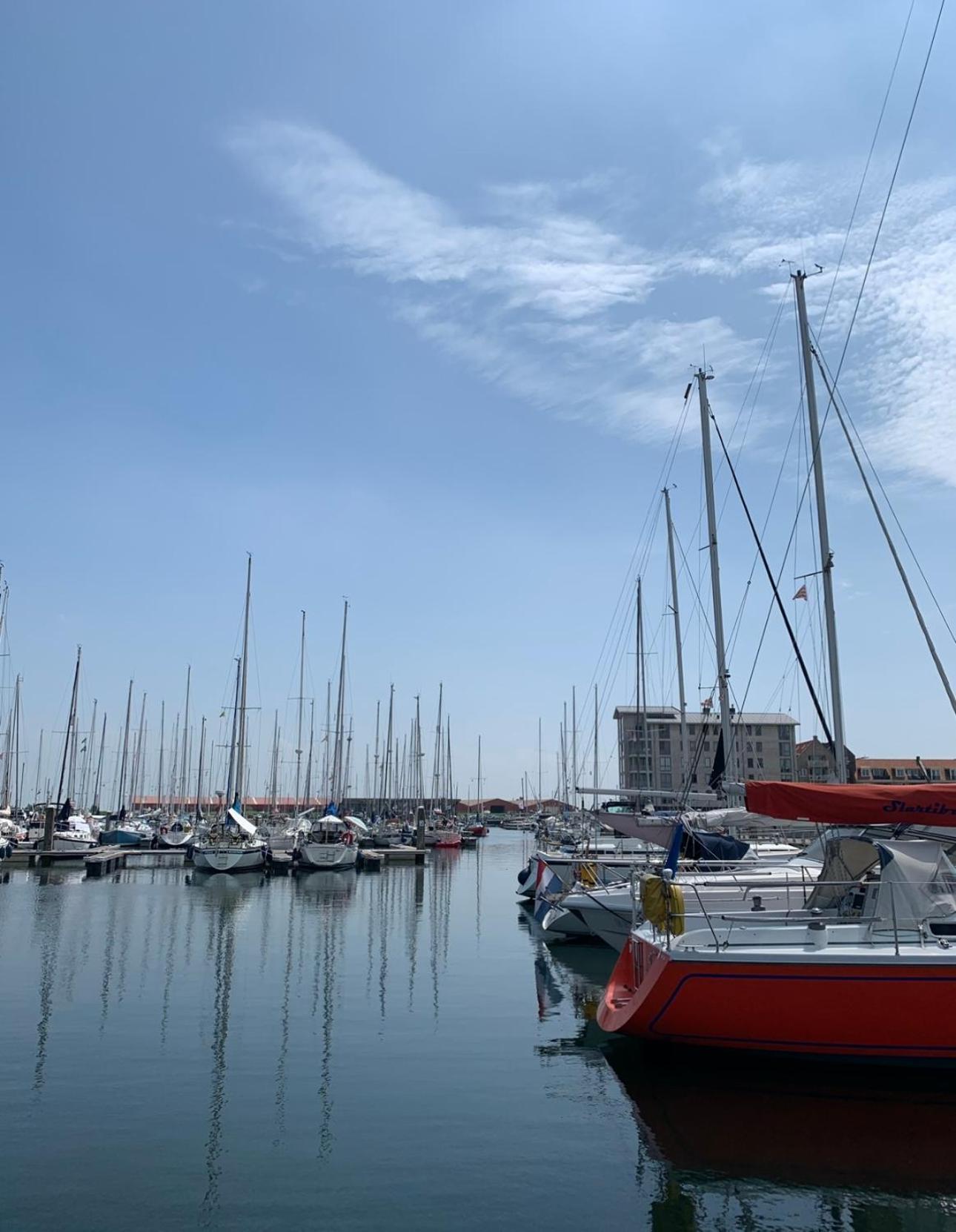 Vakantiewoning De Bosrand Aan Zee סינט אנלנד מראה חיצוני תמונה