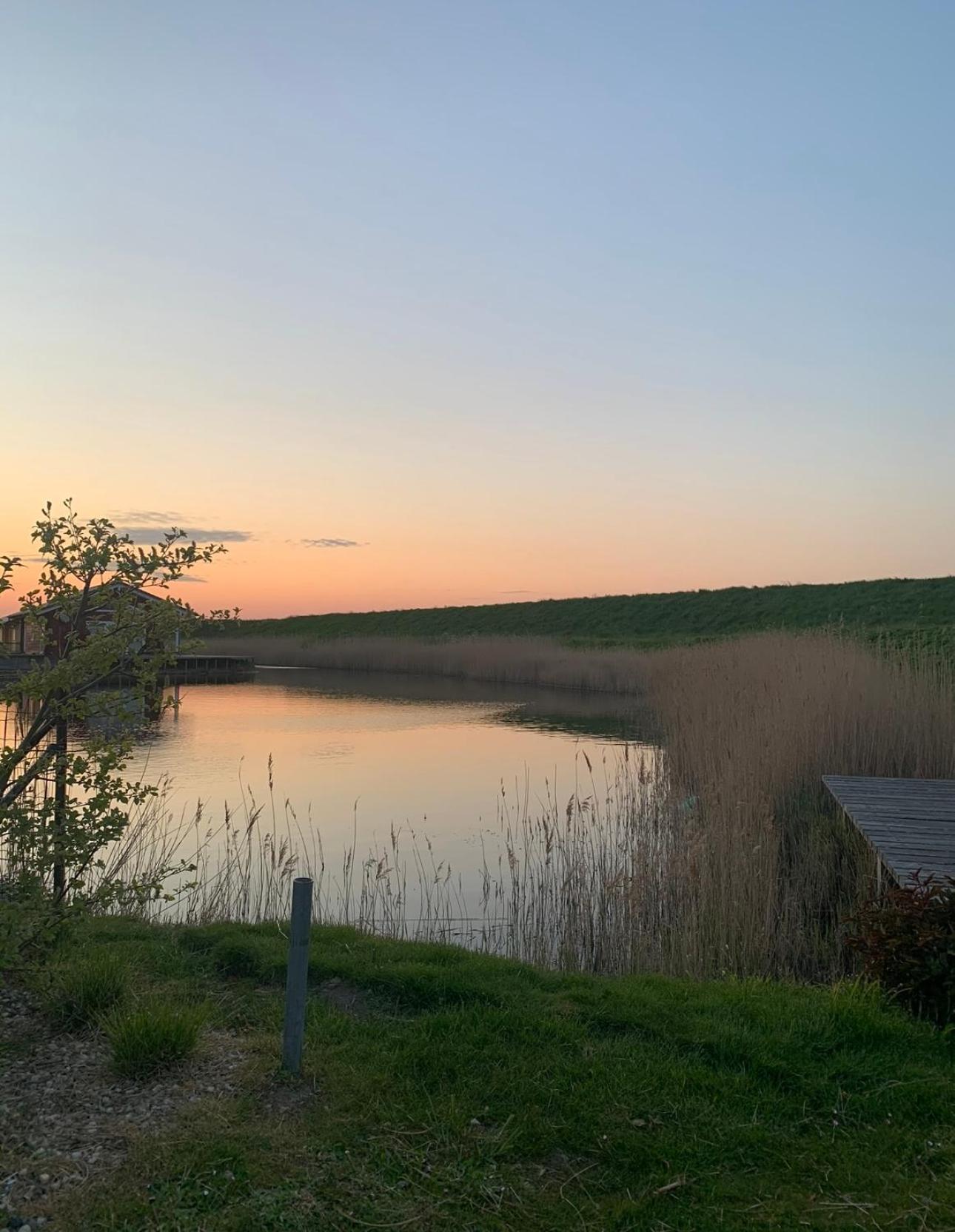 Vakantiewoning De Bosrand Aan Zee סינט אנלנד מראה חיצוני תמונה