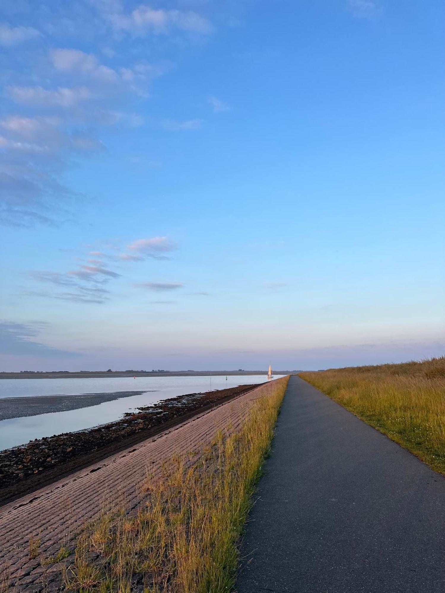 Vakantiewoning De Bosrand Aan Zee סינט אנלנד מראה חיצוני תמונה