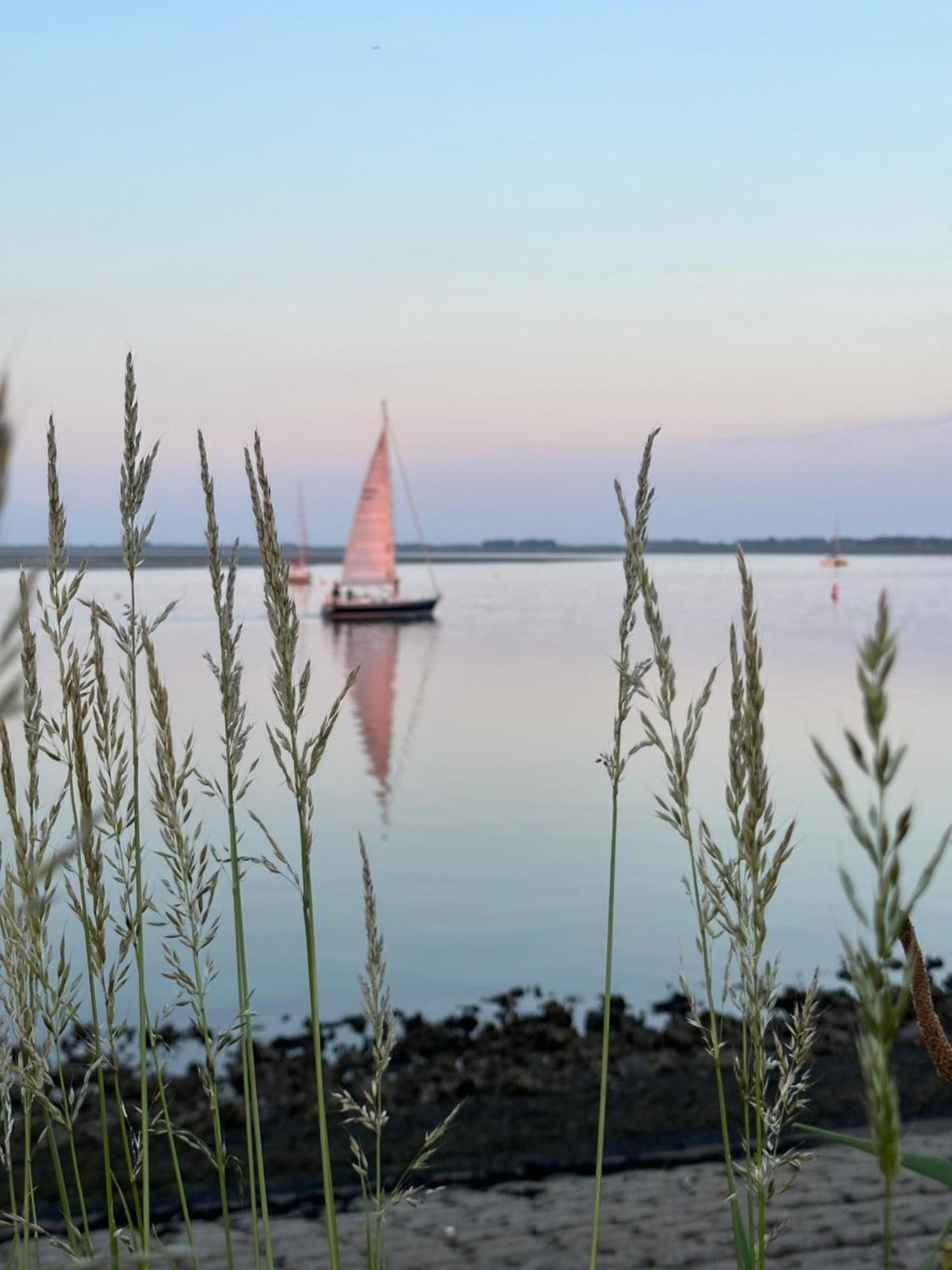 Vakantiewoning De Bosrand Aan Zee סינט אנלנד מראה חיצוני תמונה